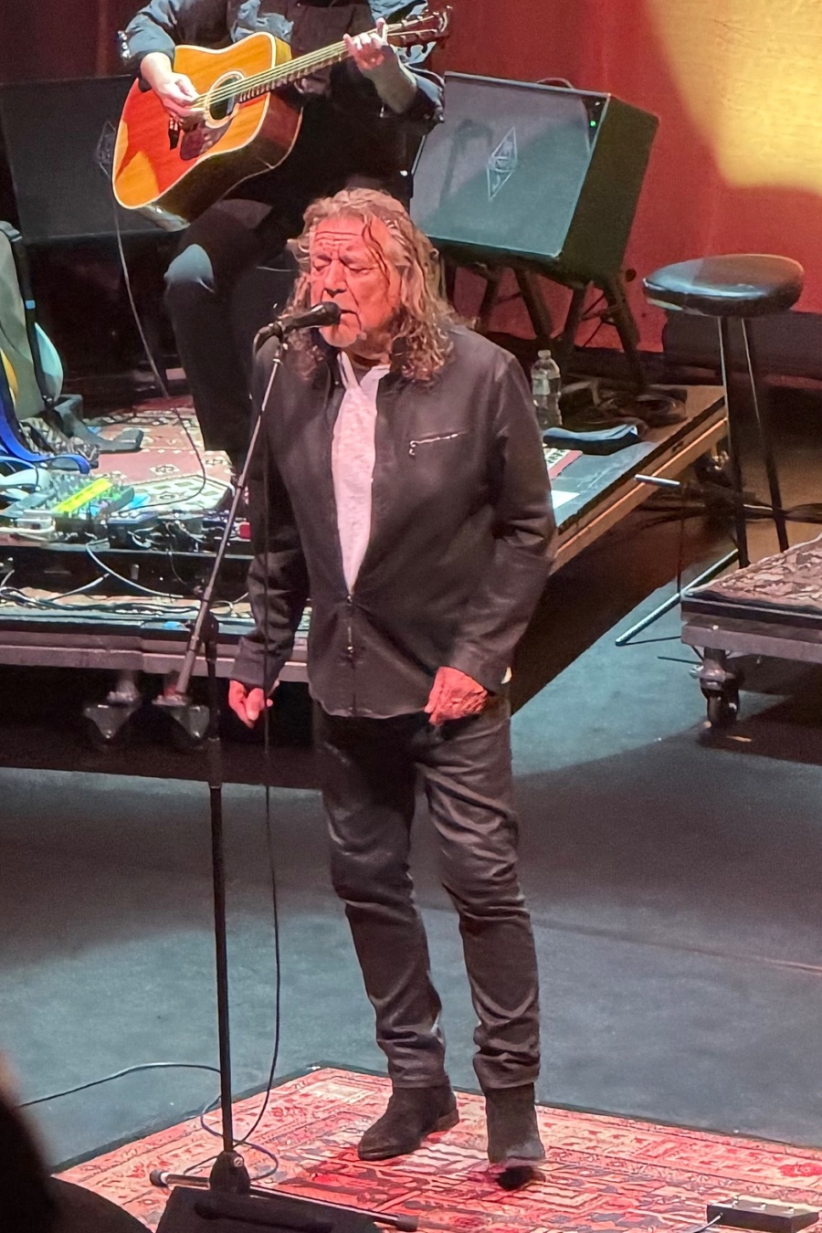 Saving Grace, Robert Plant, Suzi Dani concert photo