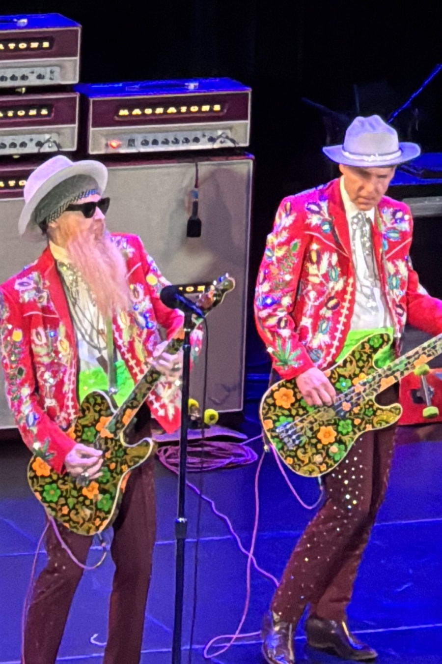 Billy Gibbons and The BFG’s concert photo