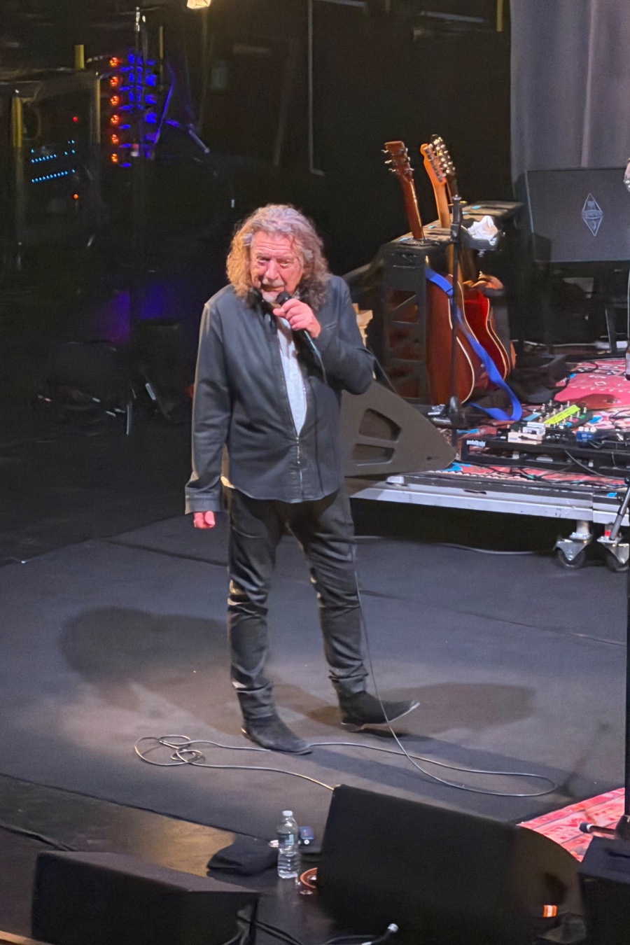 Saving Grace, Robert Plant, Suzi Dani concert photo